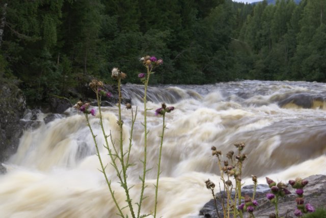 ariversouthoffageresnorway.jpg