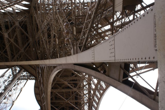 eiffeltowerbraces2.jpg